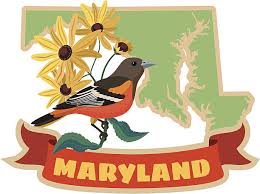 MarylandBird